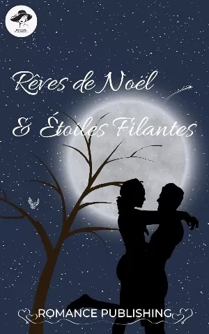 Rêves de Noël et Étoiles Filantes